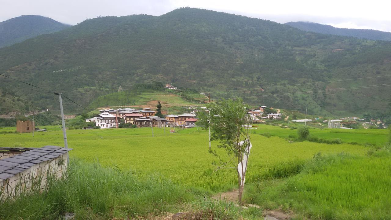 Chimi Lhakhang Village Homestay Punakʽa Zewnętrze zdjęcie